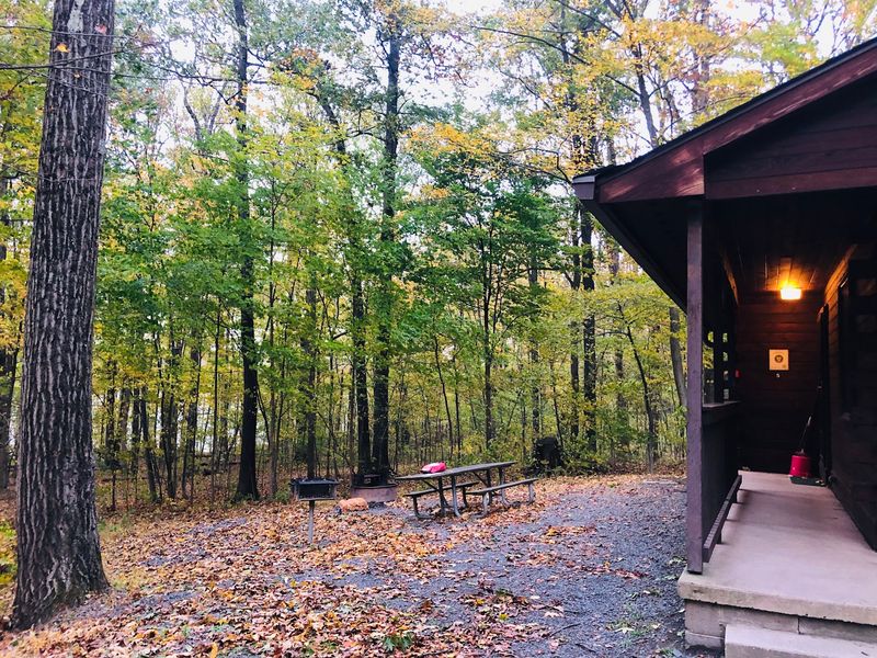 Ten Modern Cabins On The Quiet Side