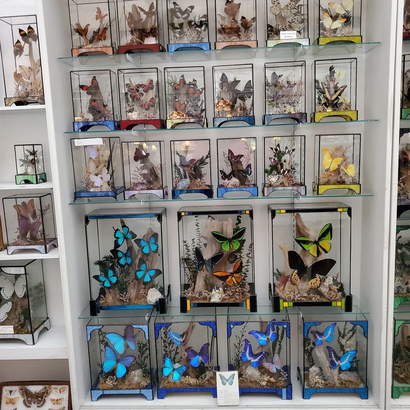 Ten Thousand Glittering Glass Pieces Ten Thousand Glittering Glass Pieces