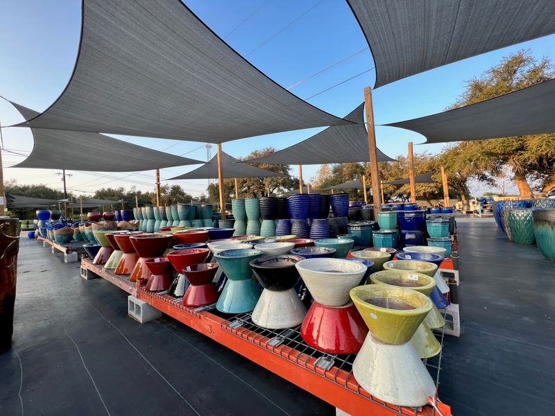 Ten Thousand Pots Spring Branch