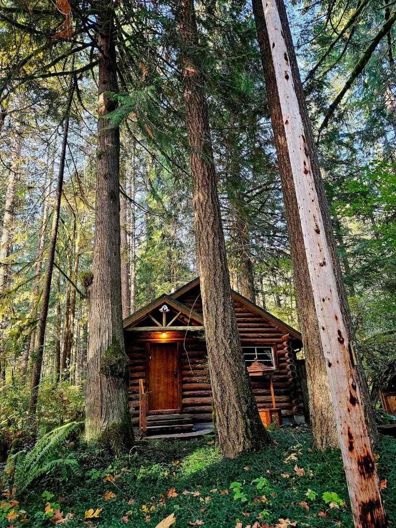 Ten Wooded Acres Of Pure Pacific Northwest Beauty