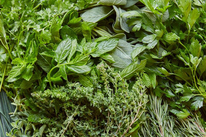 Fresh Herbs Disaster