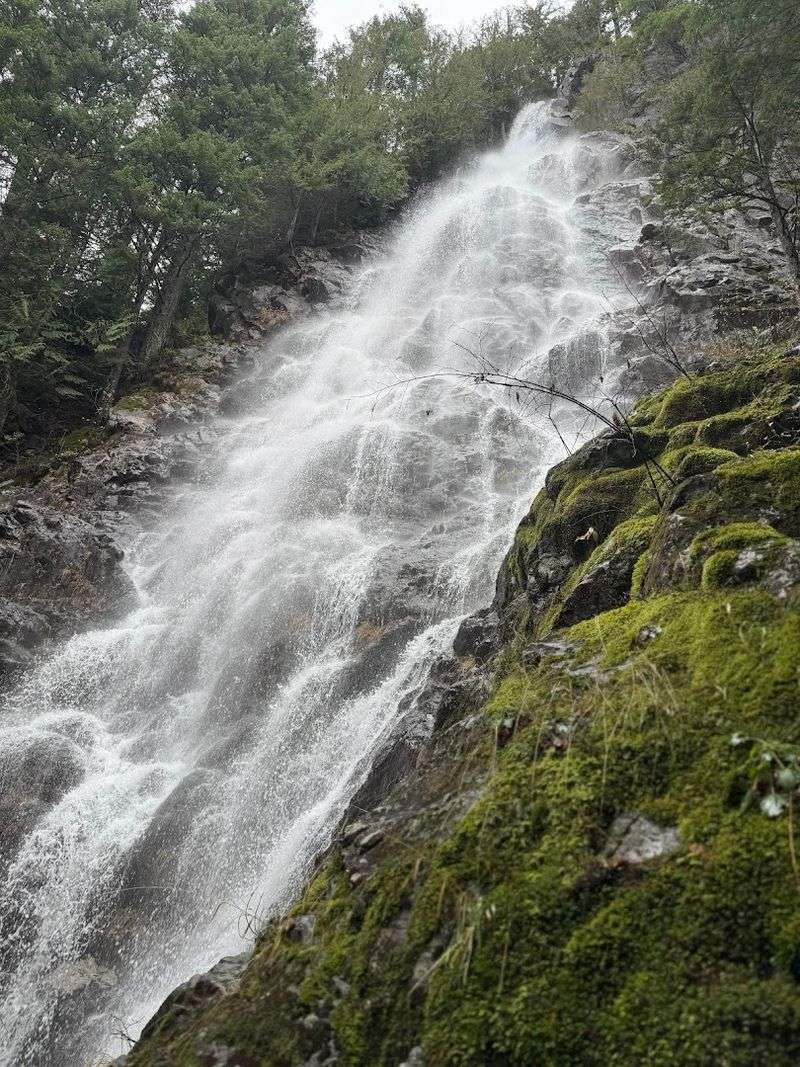 Teneriffe Falls, North Bend Area