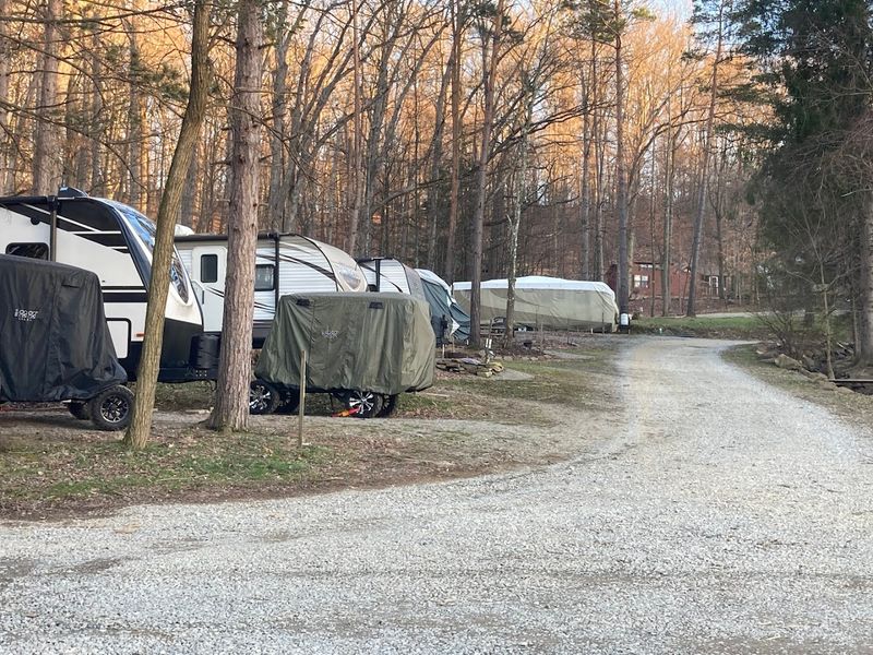 Golf Cart Rentals That Become Essential Transportation