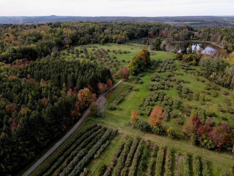 Terrace Mountain Orchard