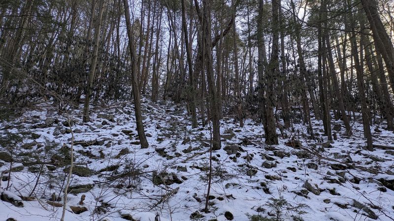 Terrace Mountain Trail, James Creek, Pennsylvania