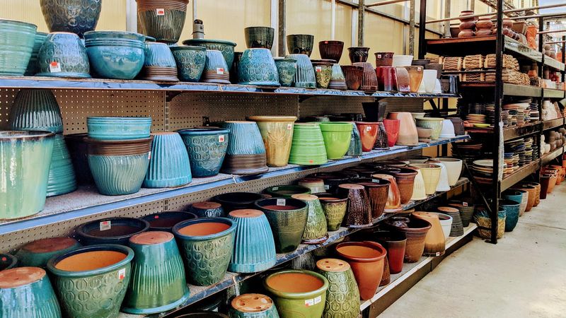 Terracotta Pots At Prices That Make You Grin