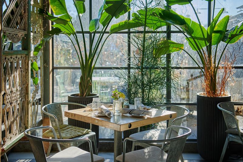 Terrain Cafe (Westport, CT) Terrain Cafe (Westport, CT)