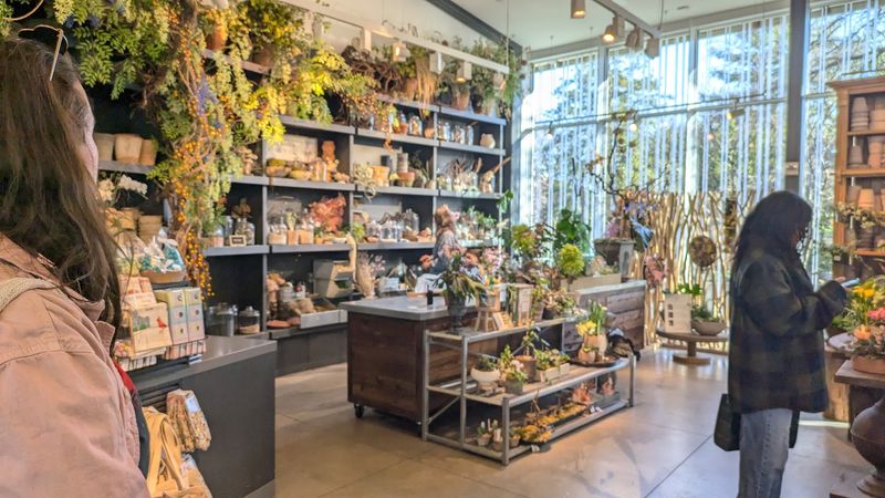 Terrain Cafe