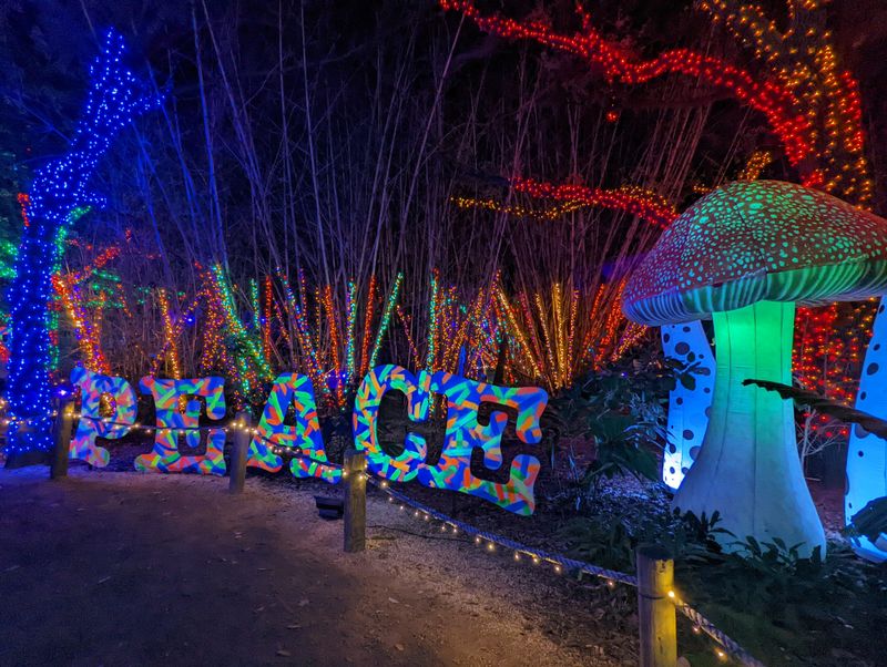 Houston — Zoo Lights And City Displays
