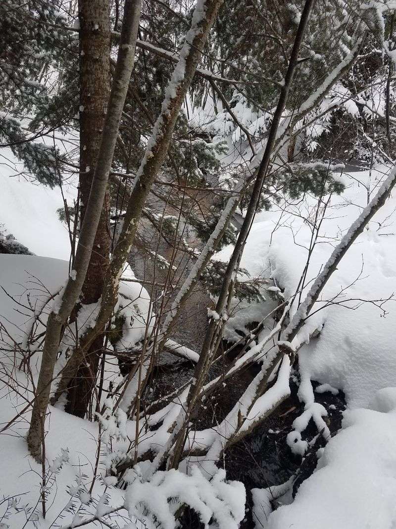 Thank Lake Superior For All That Glorious Snow Thank Lake Superior For All That Glorious Snow