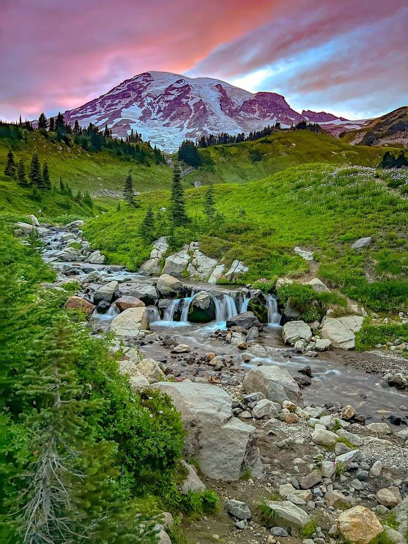 That Famous Mount Rainier Backdrop