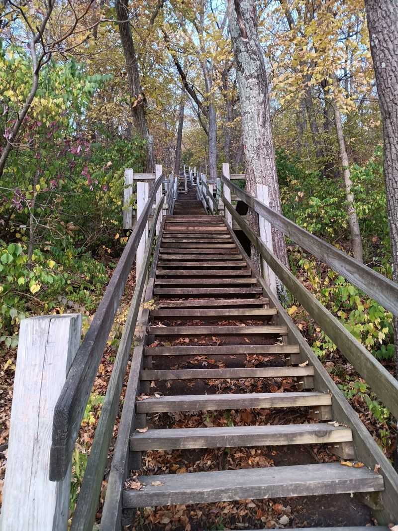 Follow The Wooden Stairs To The Water