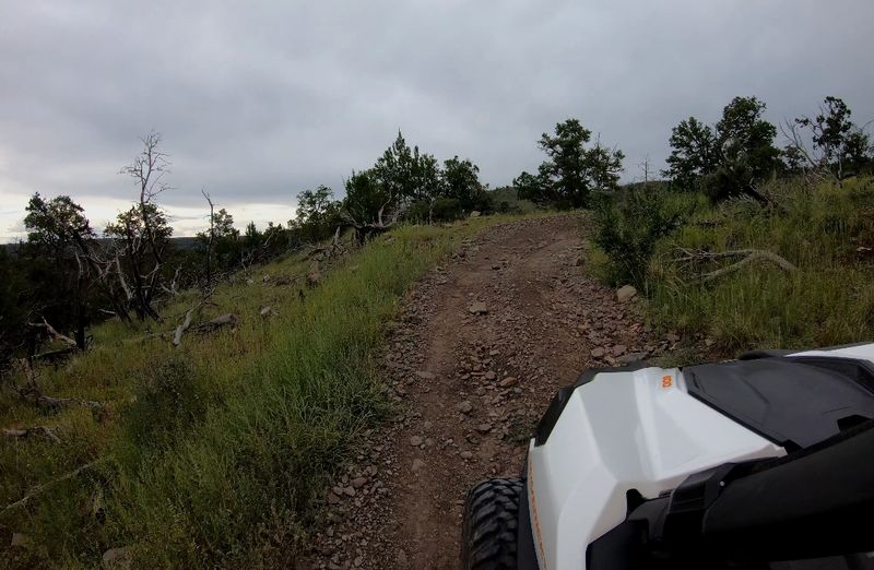 That One-Of-A-Kind ATV Bridge