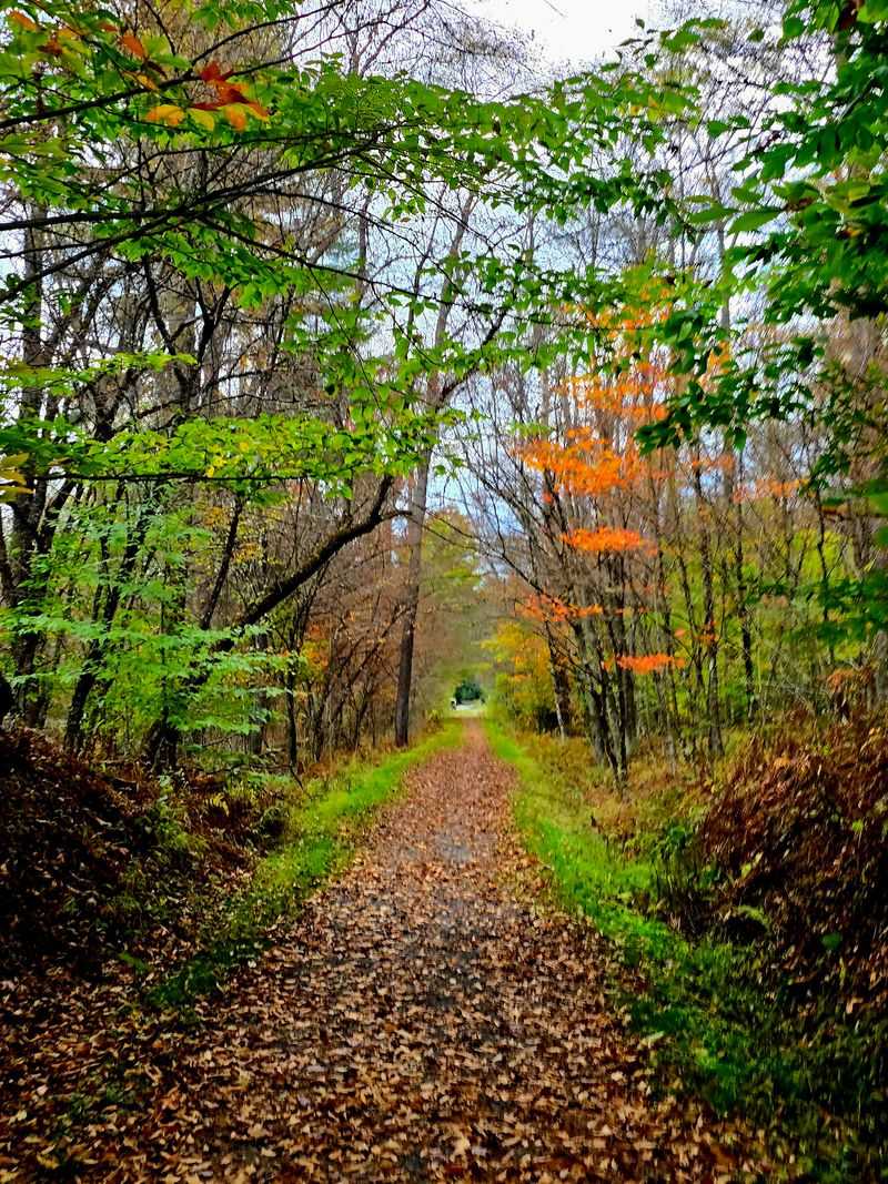 Trails That Don't Require Mountain Climbing Skills