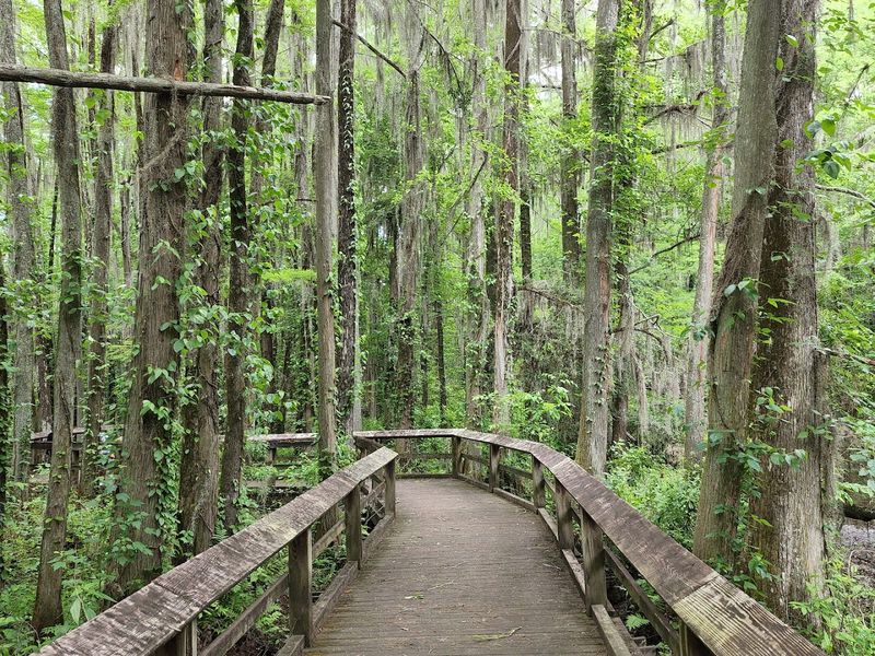 The 0.75-Mile Lakeside Path That Feels Twice As Long