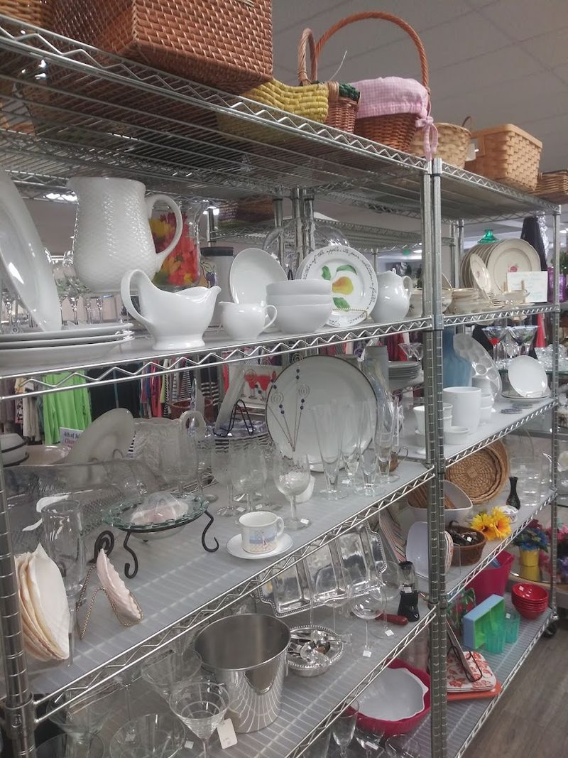 A Housewares Section Worth Slowing Down For