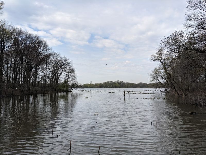 The Tinicum Marsh Up Close