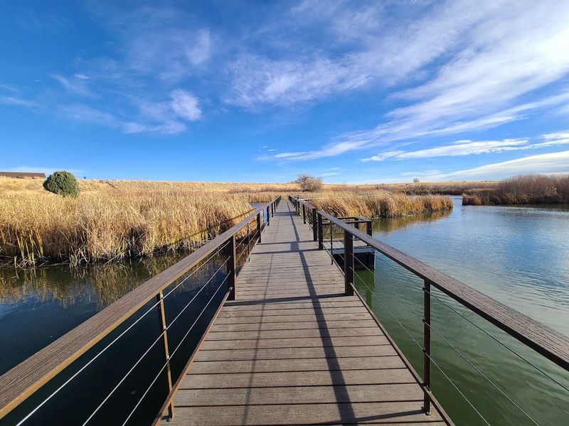 Birdwatching From the Trails and Wetland Overlooks