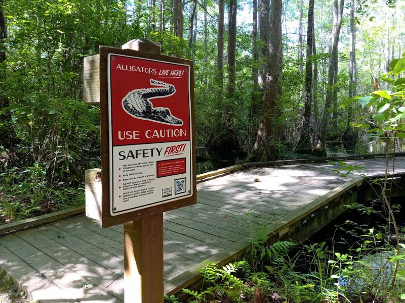 The 1,150-Foot Boardwalk Is the Star Of The Show
