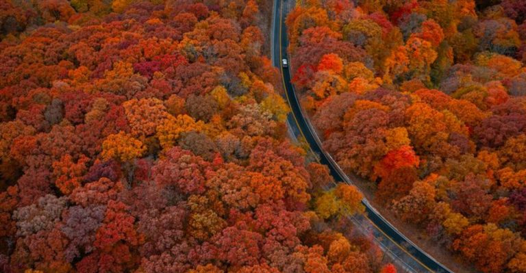 The 12 Most Scenic Backroads In Missouri You Need To Explore