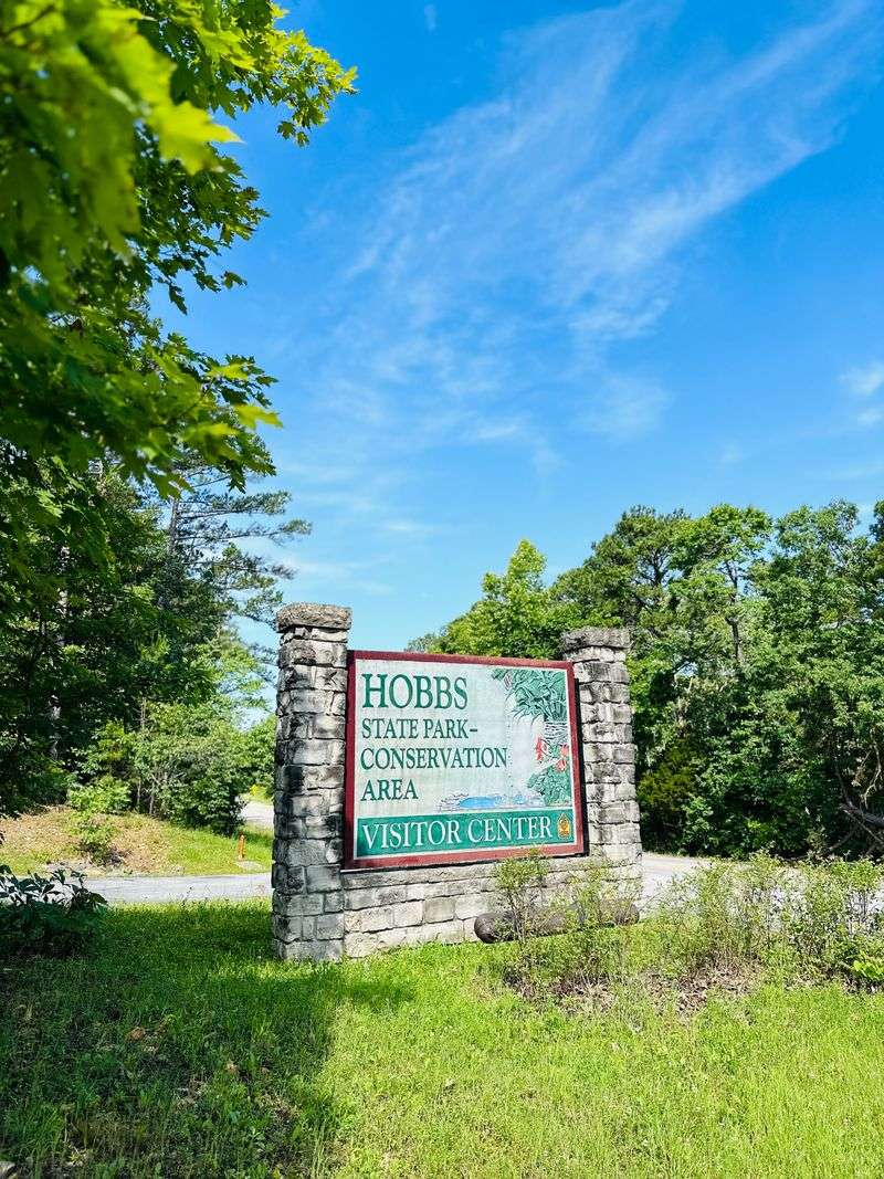 The Untouched Wilderness Of Northwest Arkansas