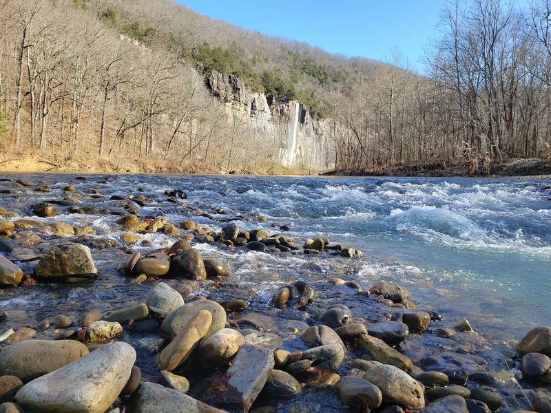 Wildlife Sightings On This River