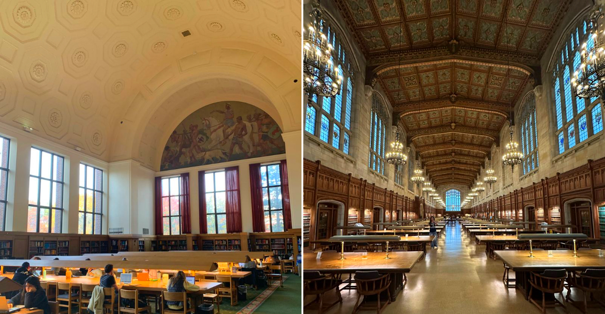 Michigan's most beautiful libraries