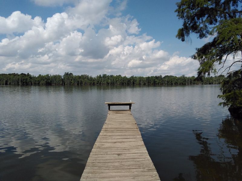 The 1927 Sanctuary That Saved A Species The 1927 Sanctuary That Saved A Species