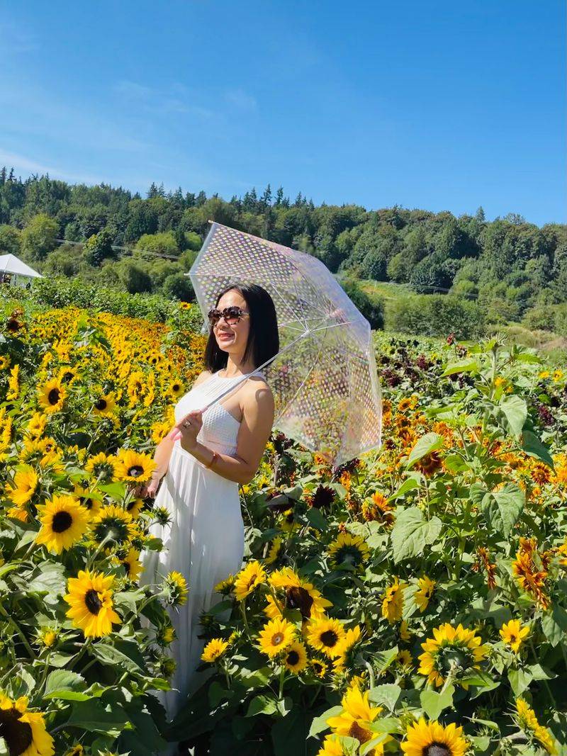 The 2026 Sunflower Festival You Cannot Miss