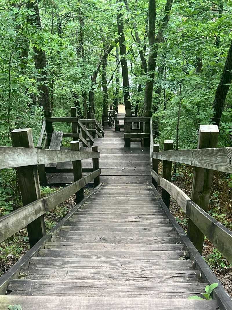 The 204 Steps Down To The Water