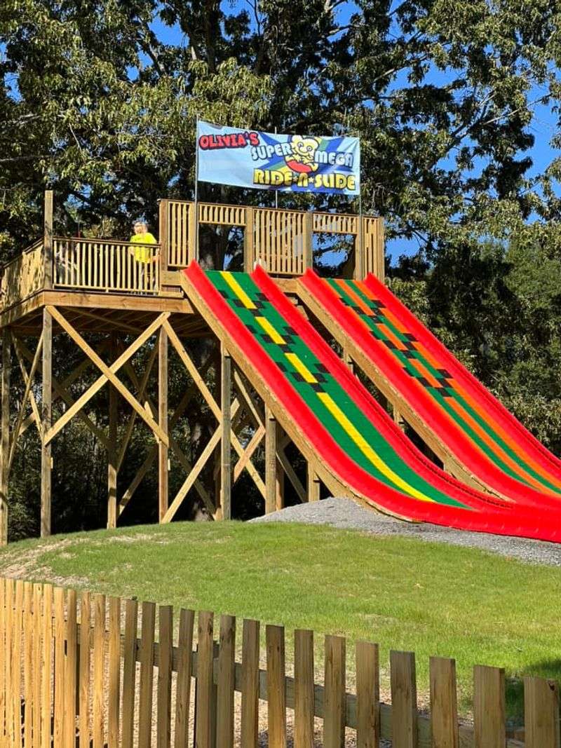The 250-Foot Mega Slide Steals The Show