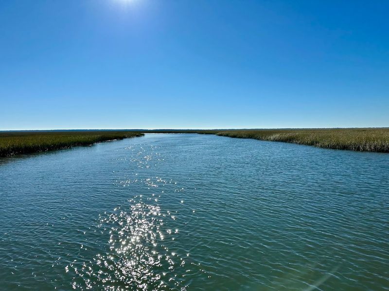 The 30-Minute Boat Ride That Feels Like A Nature Documentary
