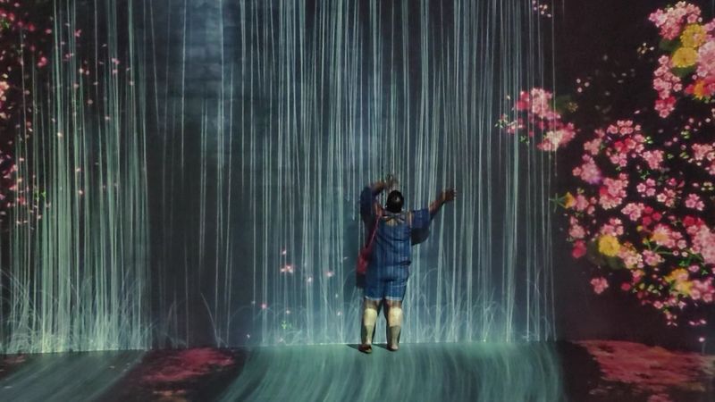 Flowers That Bloom When You Reach Out And Touch The Wall