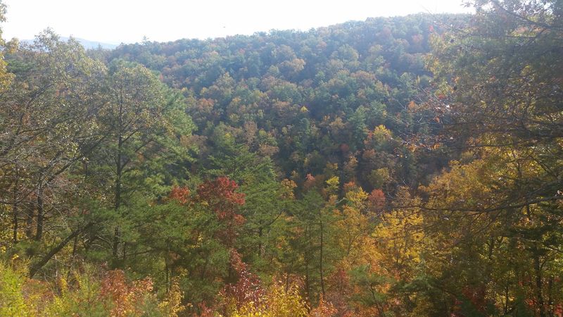 Fall Season Transforms The View Into Almost Unreasonably Beautiful