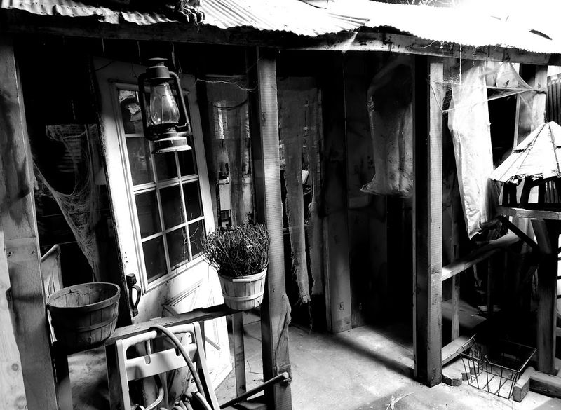 A Walk-Through Experience That Feels Surprisingly Long