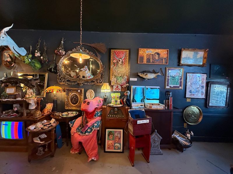 Vintage Taxidermy That Tells Stories Without Words