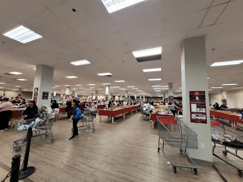 Bin Store Price Drops That Feel Like A Game Show