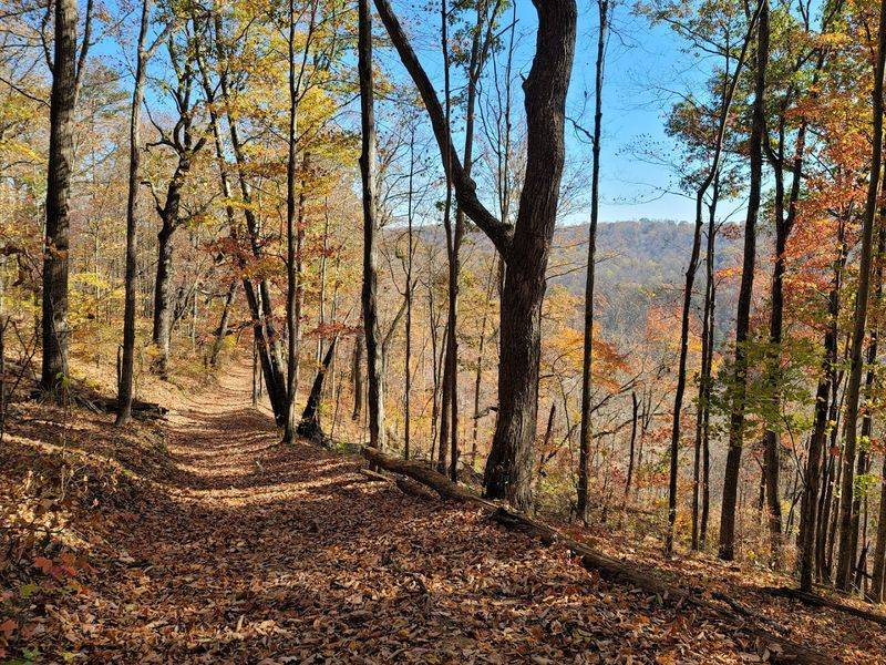 Hiking Trails That Make You Feel Like An Explorer
