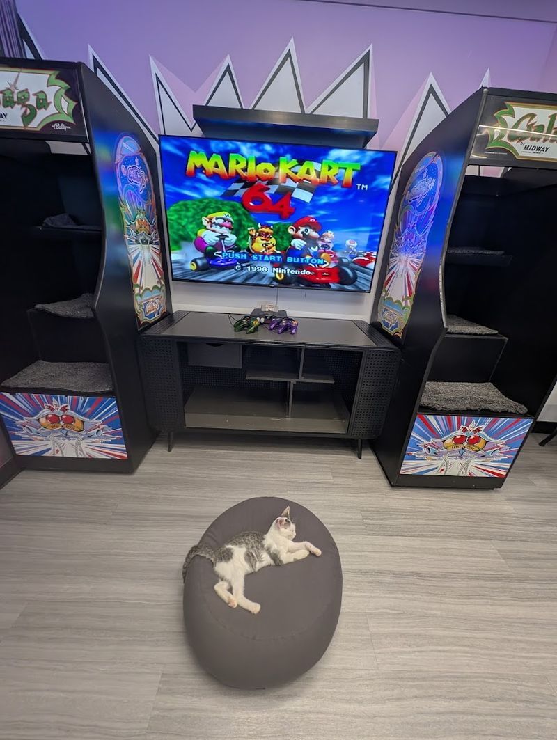 Arcade Games Give The Space Its Unique Identity