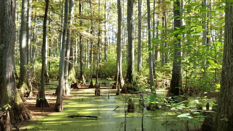 Photography Paradise