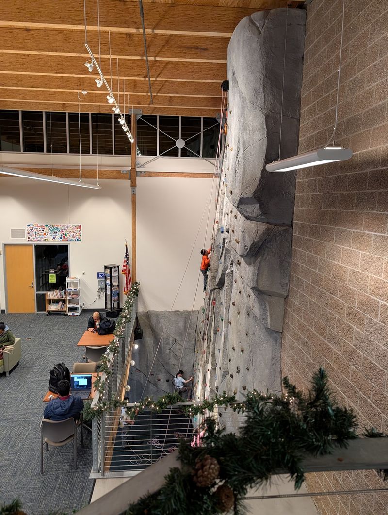 The Aerial Park And Climbing Wall The Aerial Park And Climbing Wall