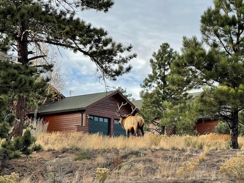 Final Verdict: The Mountain Town That Earns Its Reputation