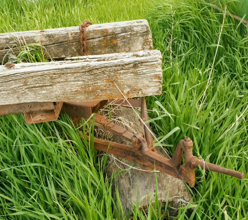 The Agricultural Identity That Sets It Apart The Agricultural Identity That Sets It Apart