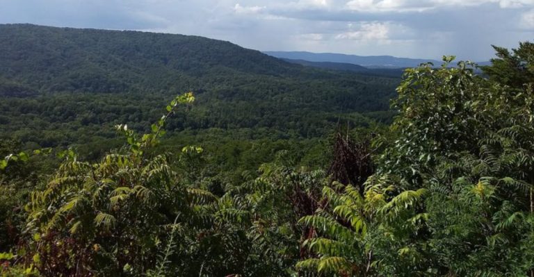 The Alabama Scenic Drive You’ll Be Thinking About Long After You Get Home