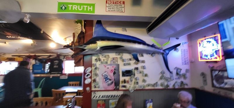 Why Alligator Works in Ohio