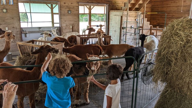 A Year-Round Education Center For All Ages