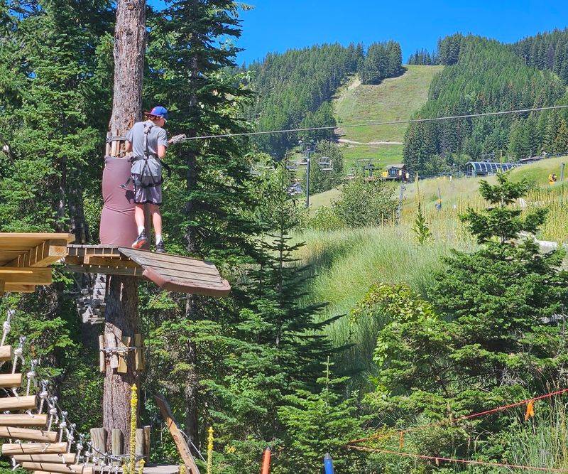 The Alpine Slides Are Pure Mountain Fun