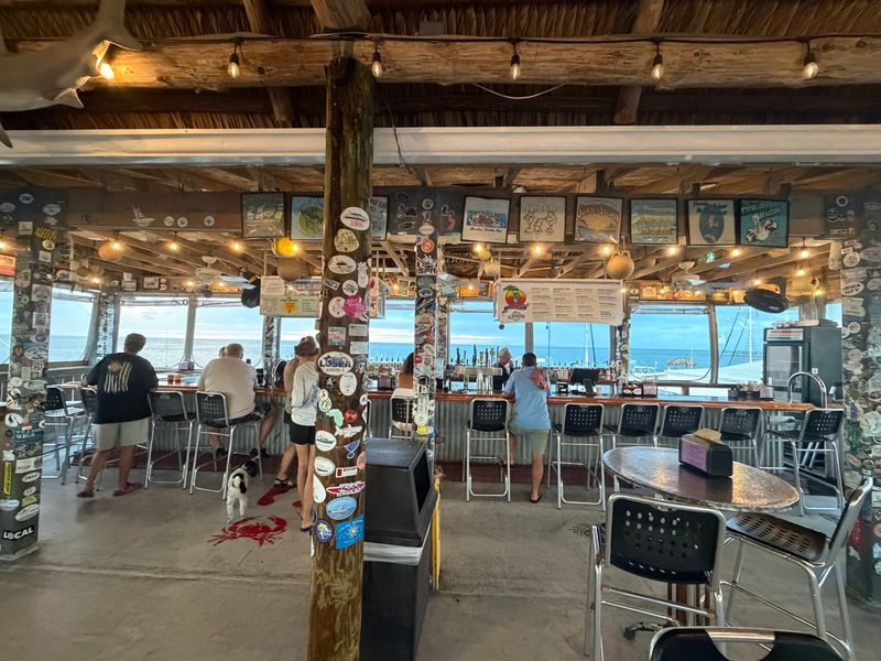 A Perfect Day, Accidentally