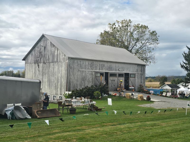 The Amish Donuts Are Basically Famous