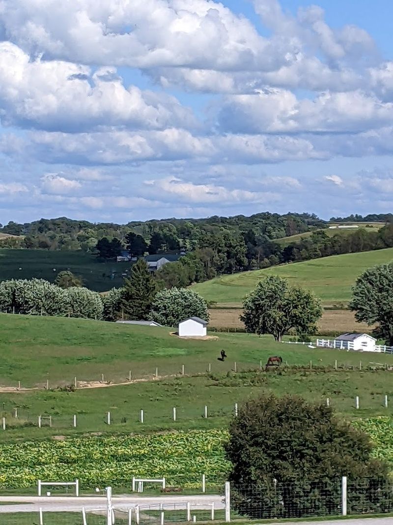 Tips for Planning Your Visit